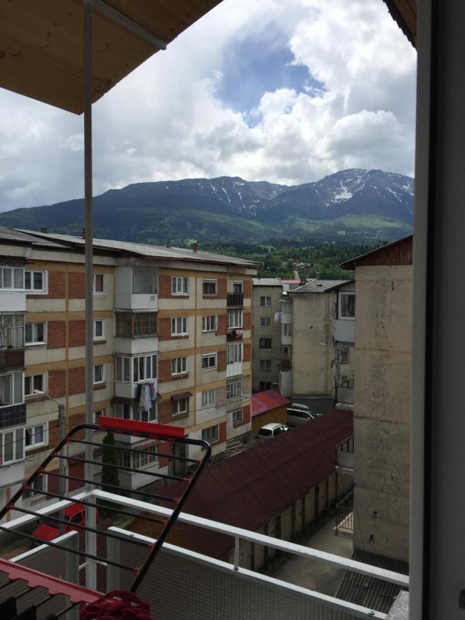 Apartamente Gildo&Nori 20 Borşa Exterior foto